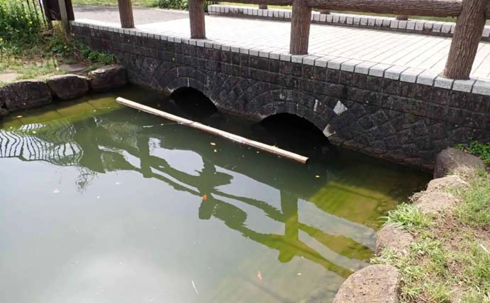 「都内で気軽に小物釣り!」ヘラブナやタナゴ釣りが楽しめる元渕江公園を紹介【東京】