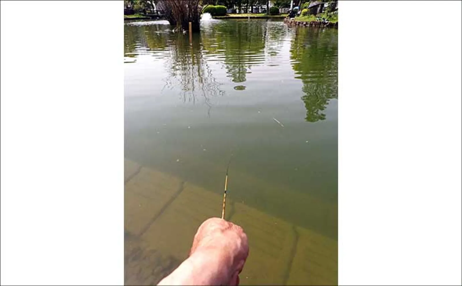 「都内で気軽に小物釣り!」ヘラブナやタナゴ釣りが楽しめる元渕江公園を紹介【東京】