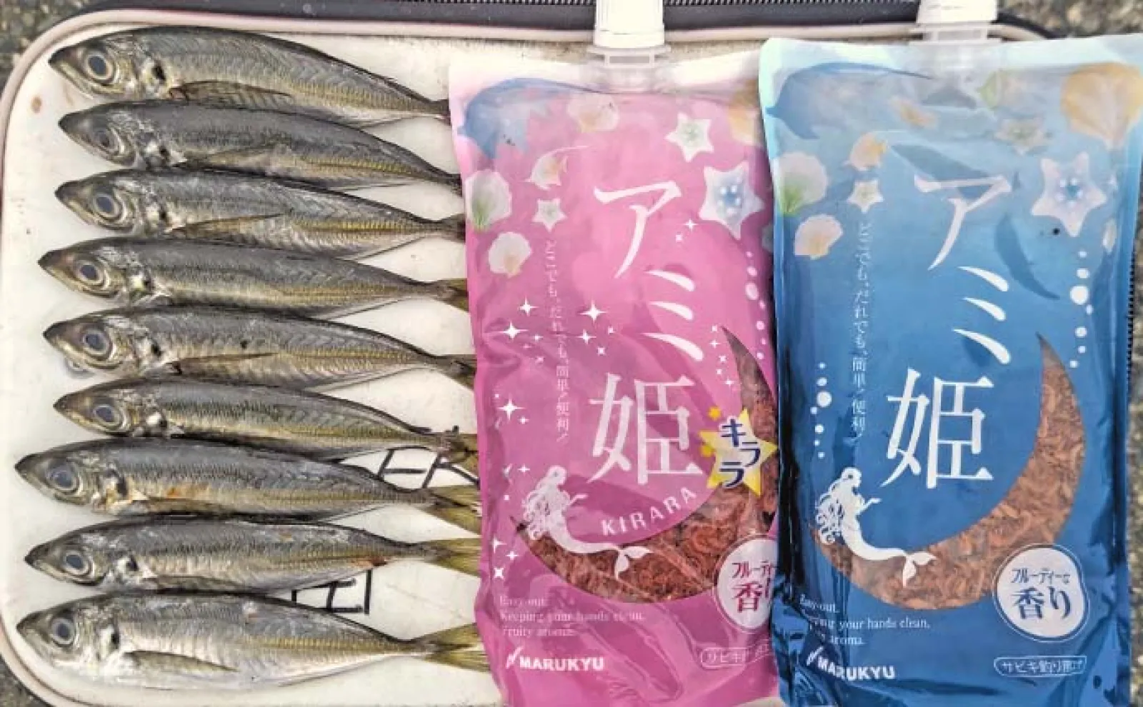 「車横付け可能で足場も良好!」家族釣行にピッタリな釣り場『館山港砂揚げ場』を紹介【千葉】