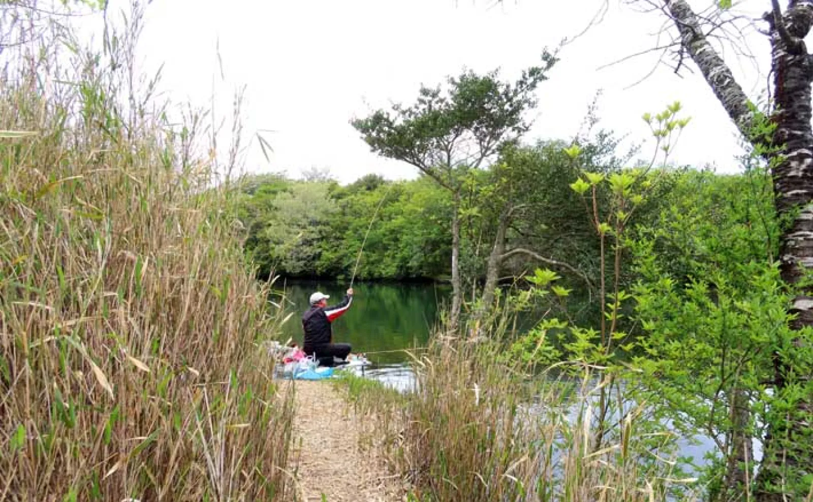 今週のヘラブナ推薦釣り場2025【静岡・田貫湖】 | アウトドア