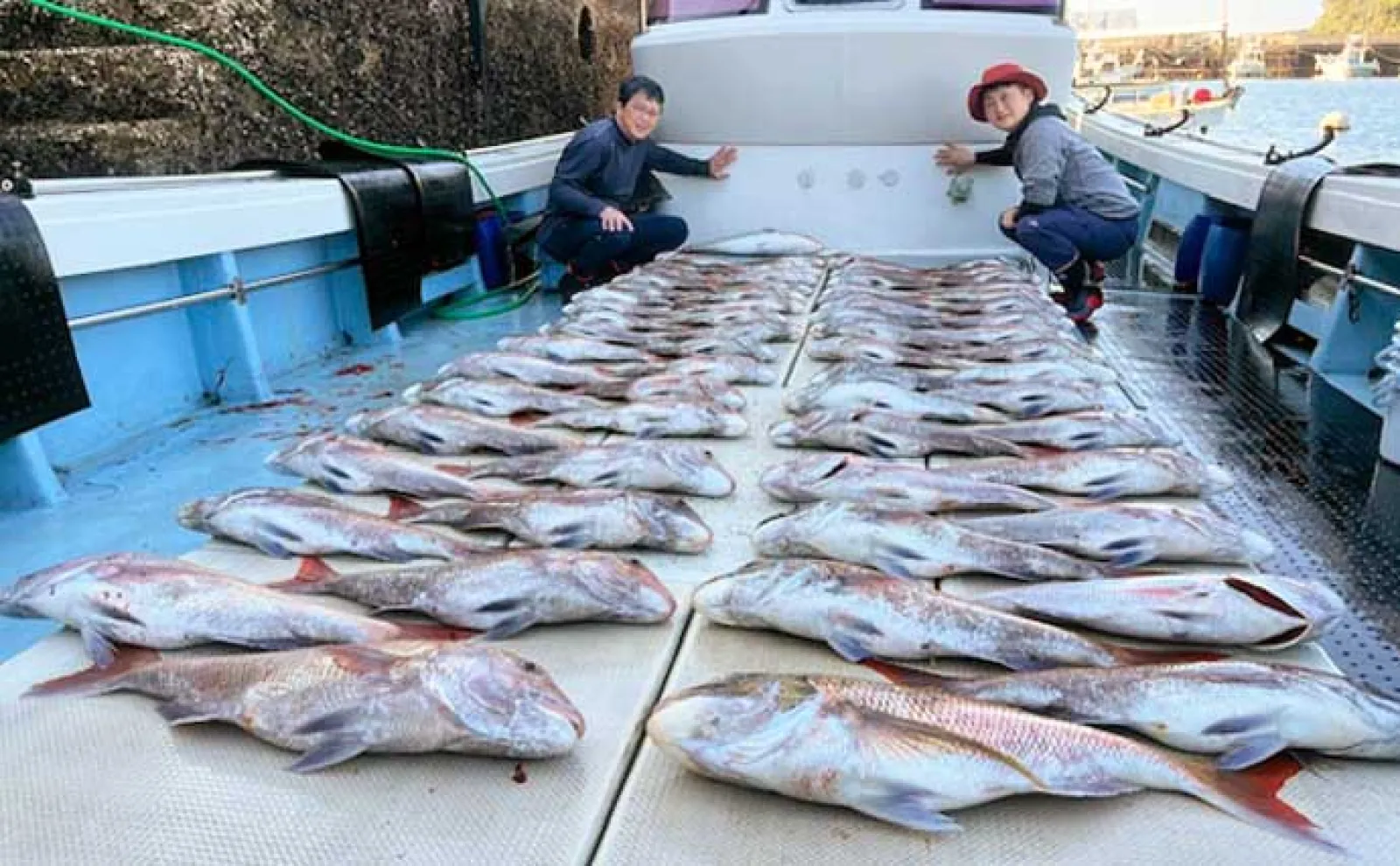 【沖釣り釣果速報】平戸沖のキャスティングでヒラマサ10kg超えがヒット！（長崎・佐賀）