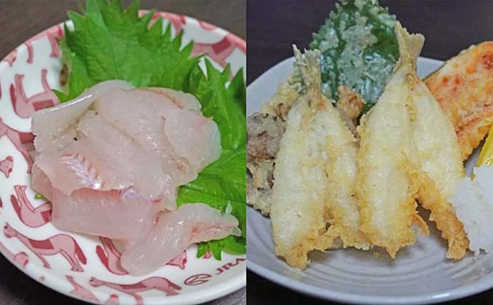 家族&友人で午後の船キス釣り【神奈川・進丸】船酔いを乗り越えて全員が本命をキャッチ