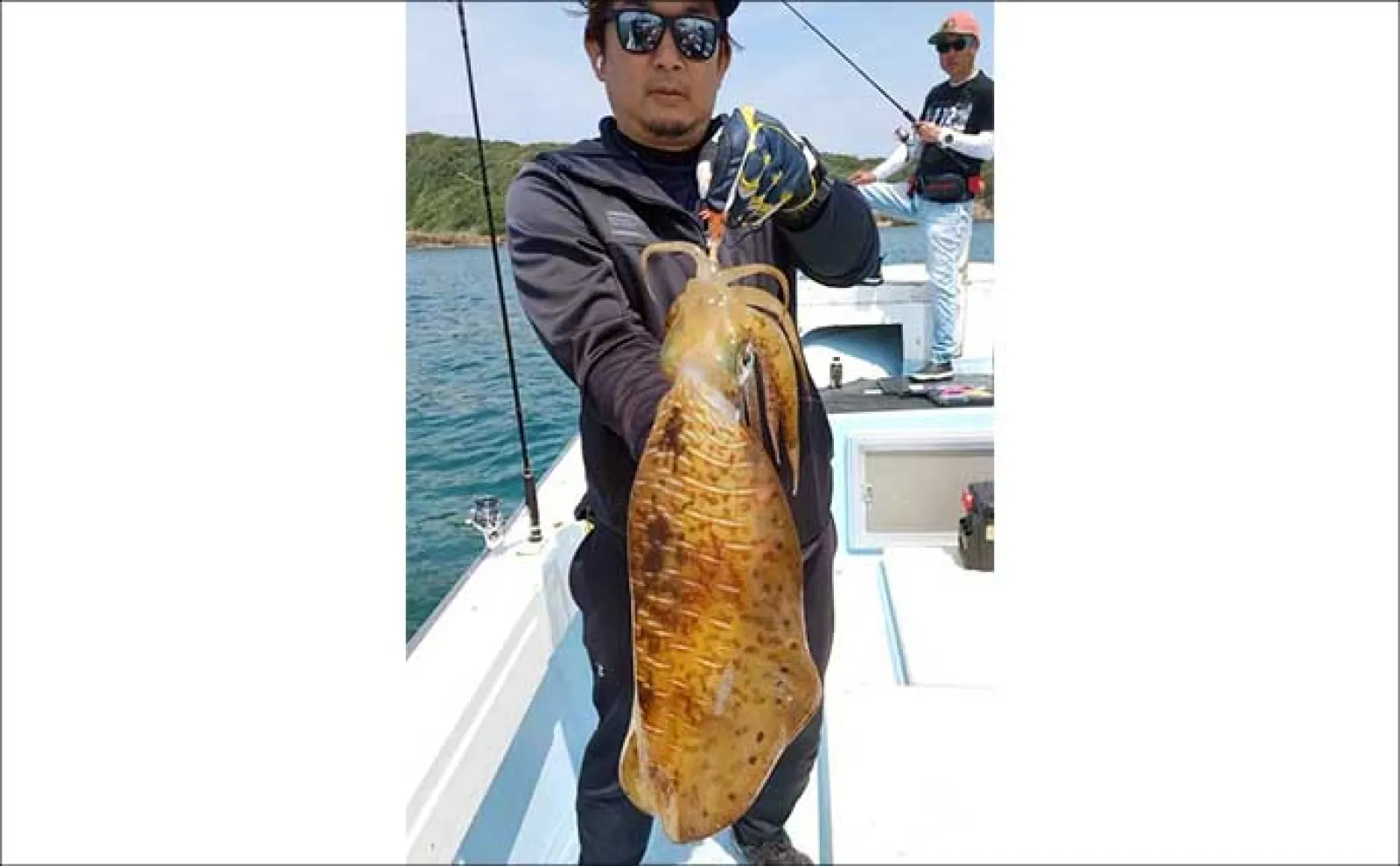 【沖のルアー釣果速報】響灘SLJ(スーパーライトジギング)で50cm級イサキ浮上(福岡)