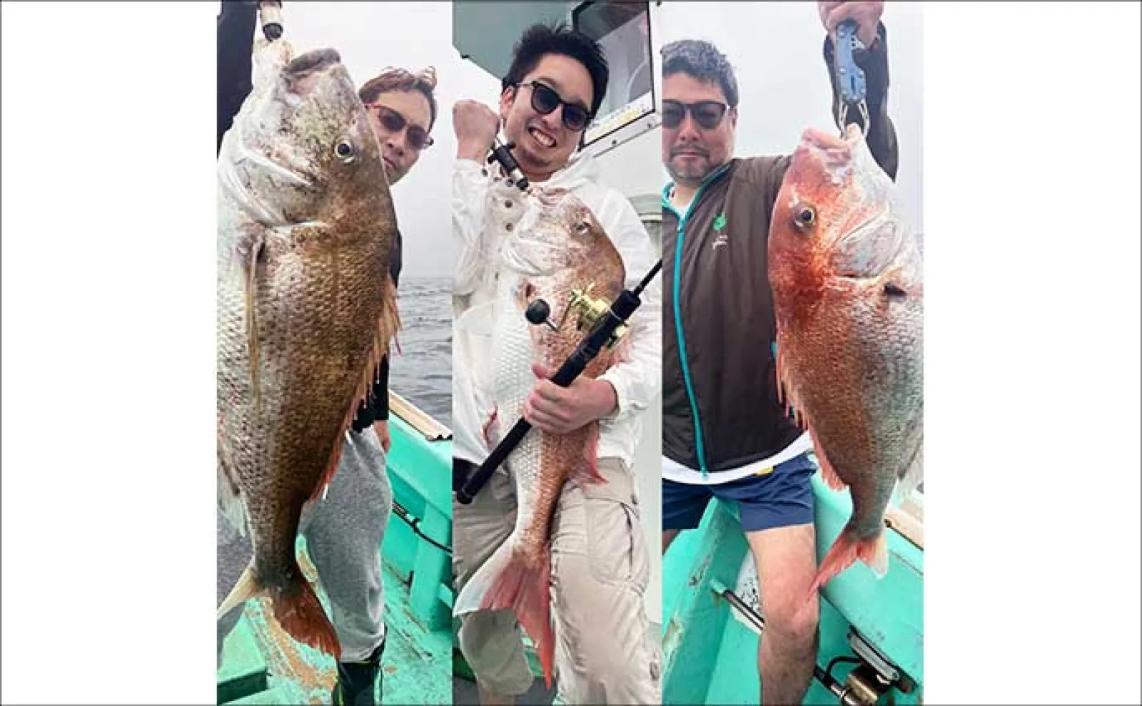 【沖のルアー釣果速報】響灘SLJ(スーパーライトジギング)で50cm級イサキ浮上(福岡)