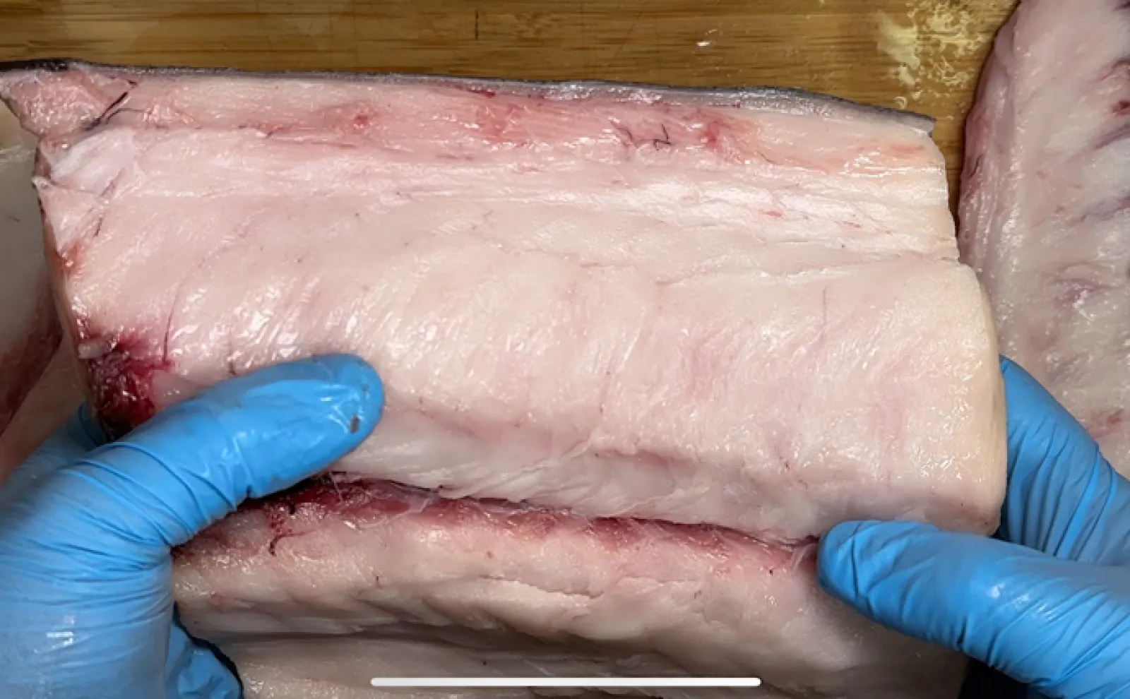「お漏らし覚悟で食べたい!」脂乗りすぎ注意の美味なワックス魚『アブラソコムツ』
