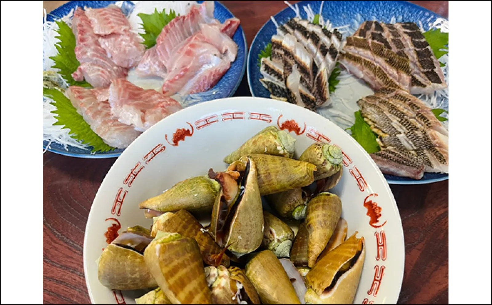 「イサキ釣りの季節が到来!」磯フカセ釣りで40cm級含み良型イサキが入れ食い【大分】