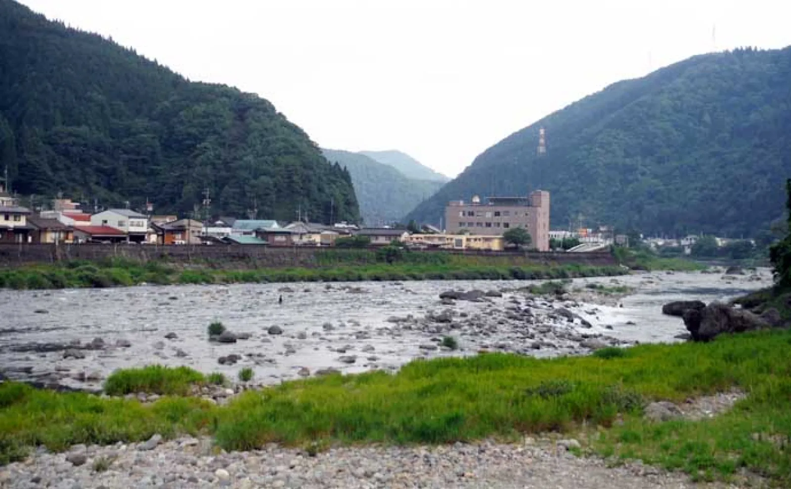 「梅雨明けが本番!」2025年鮎(アユ)釣りおすすめ河川:長良川郡上漁協管内