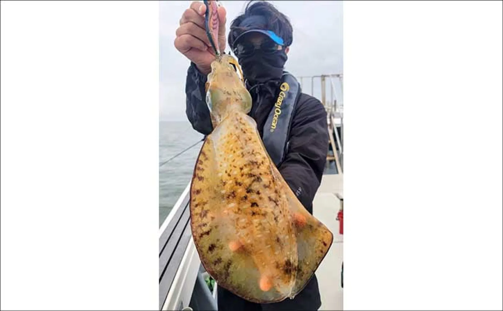 【沖のルアー釣果速報】ボートルアー便で50cm良型キジハタを頭にヒラメ・マゴチ・シーバス手中(愛知)