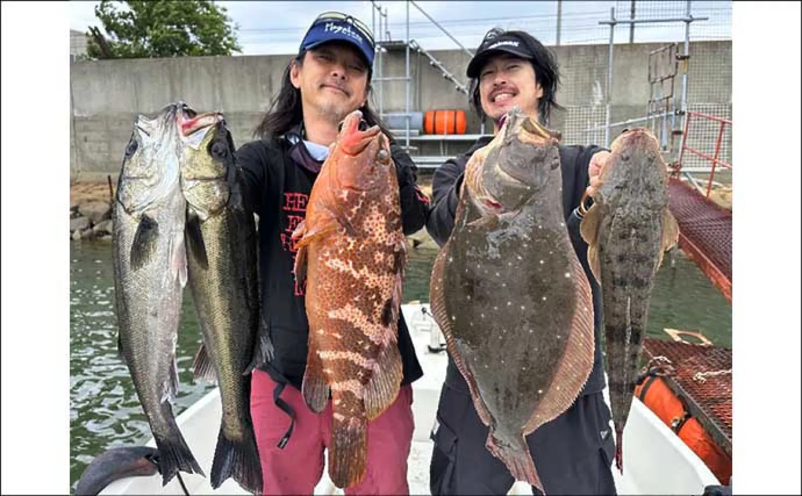 【沖のルアー釣果速報】ボートルアー便で50cm良型キジハタを頭にヒラメ・マゴチ・シーバス手中(愛知)