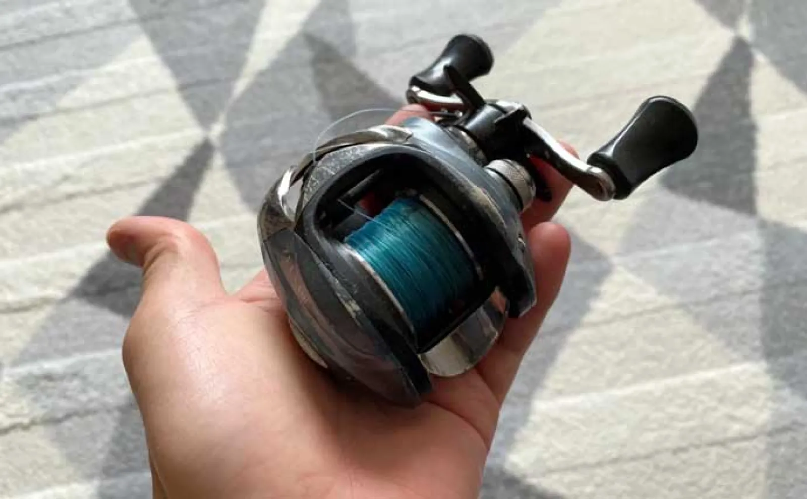 綾瀬川でのパン鯉釣りで本命2匹キャッチ【埼玉】気温上昇と共に高活性