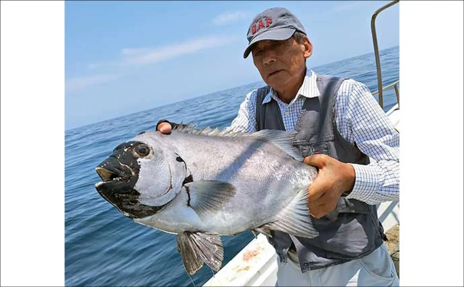【沖釣り釣果速報】響灘の船フカセ釣りで160kg超クロマグロを手中(福岡)