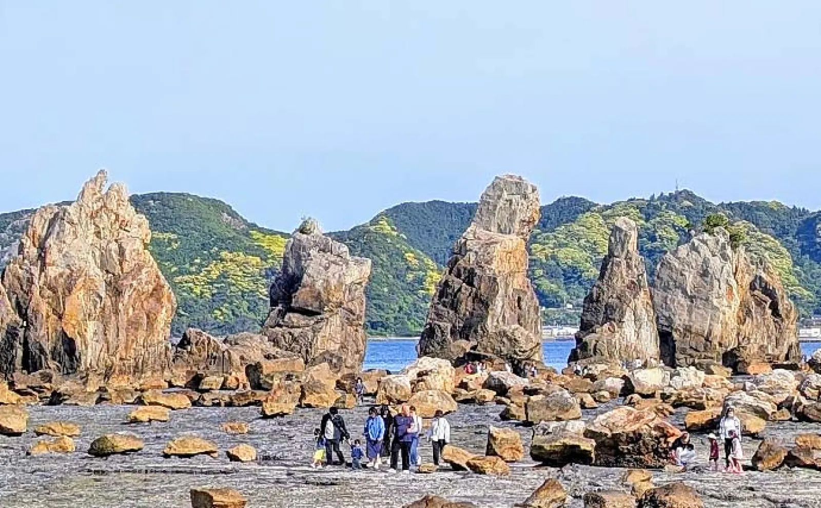 投げ釣りで24cmの良型シロギスを手中【和歌山・串本】ゲストに28cmのマダイも登場
