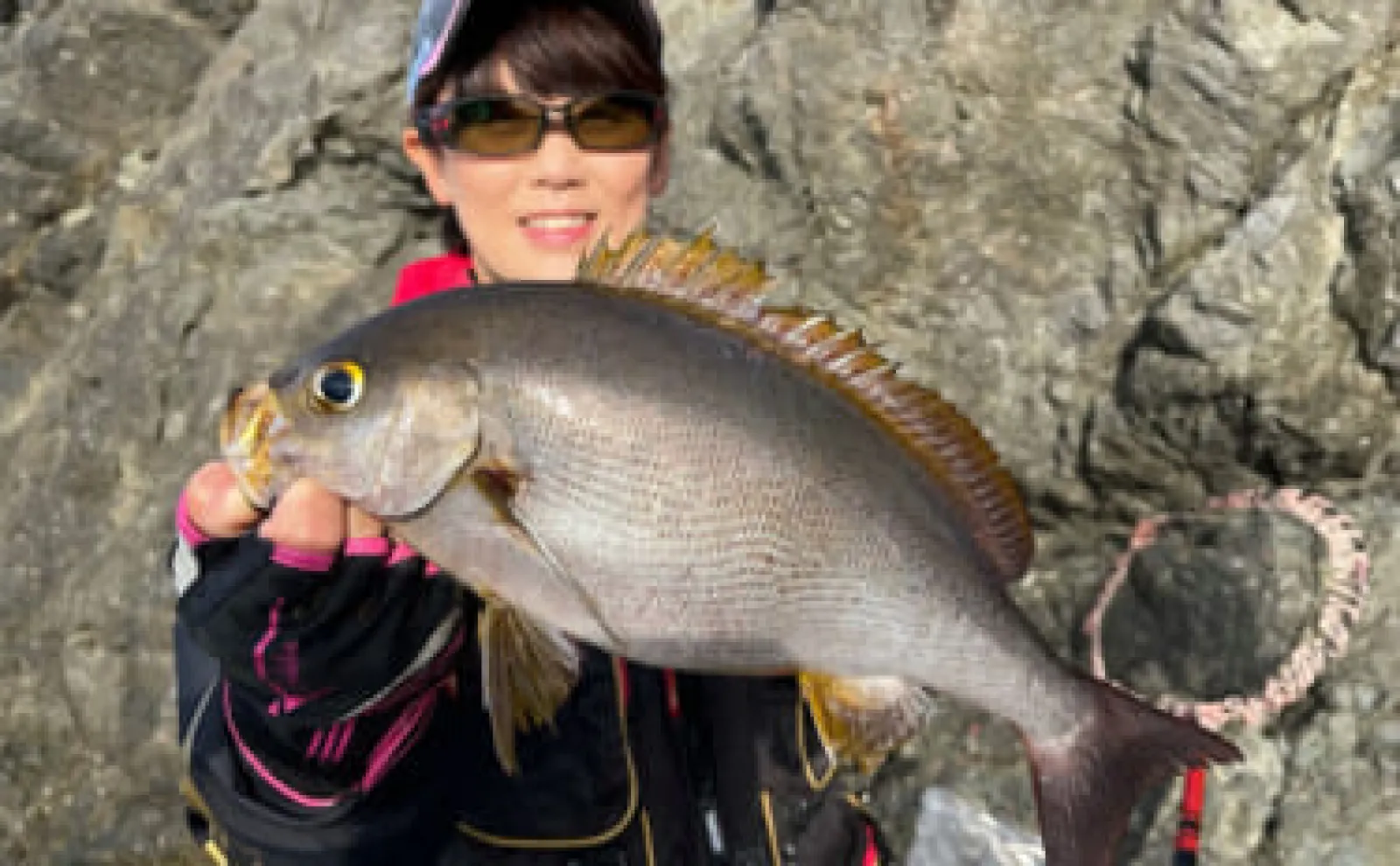 「イサキ釣りの季節が到来！」磯フカセ釣りで40cm級含み良型イサキが入れ食い【大分】