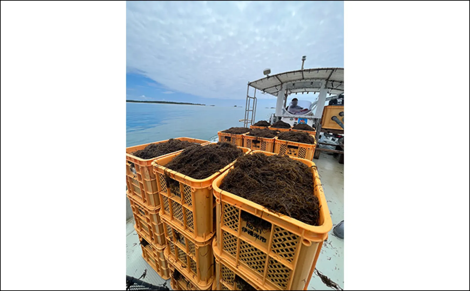 「住めば都って本当?」沖縄の離島移住の実態を知りたくて『伊是名島』に行ってみた