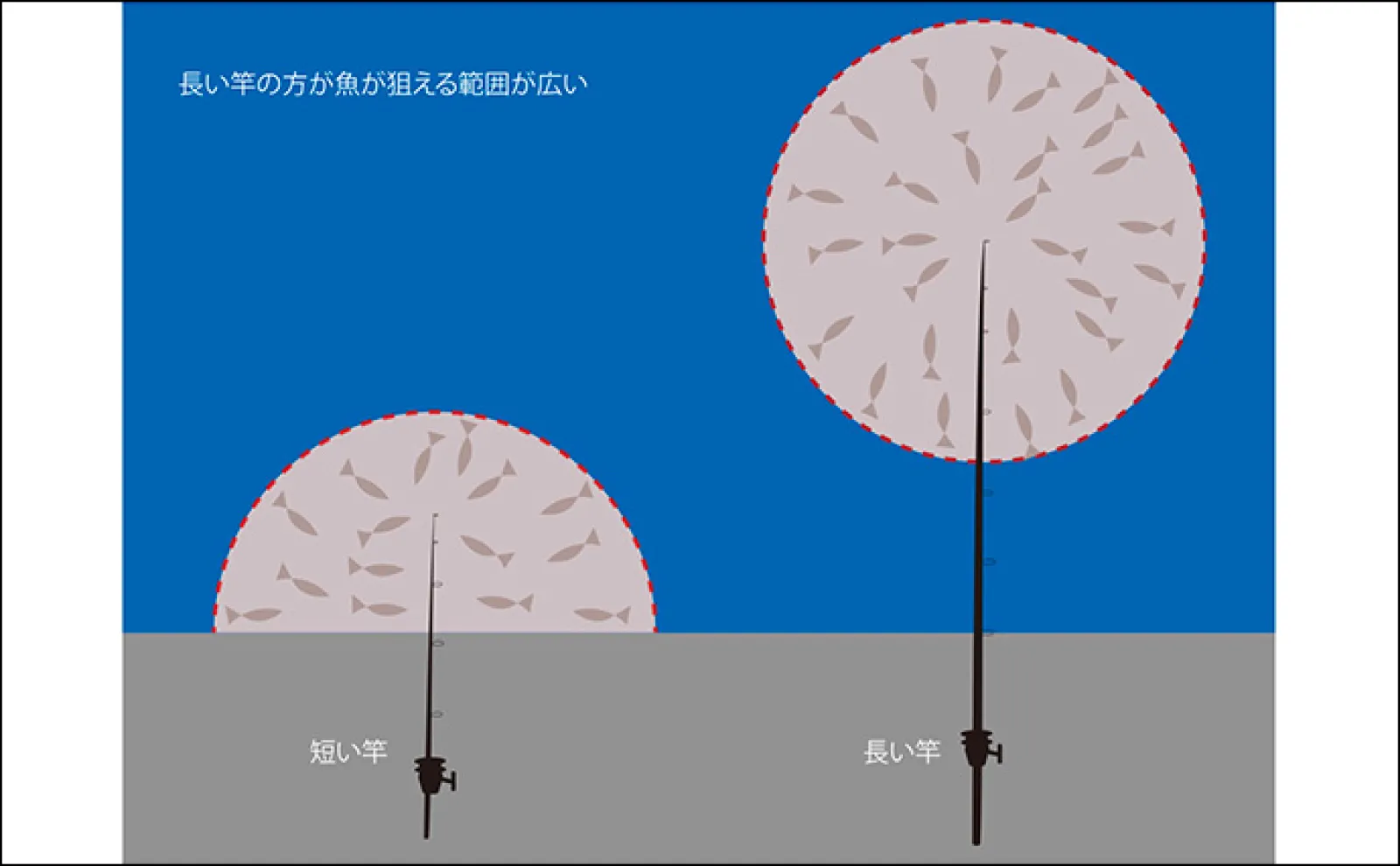 【釣果に差が出るサビキ釣り】誰でもできる釣果アップ法2選「長い竿とトリックサビキを使ってみよう!」