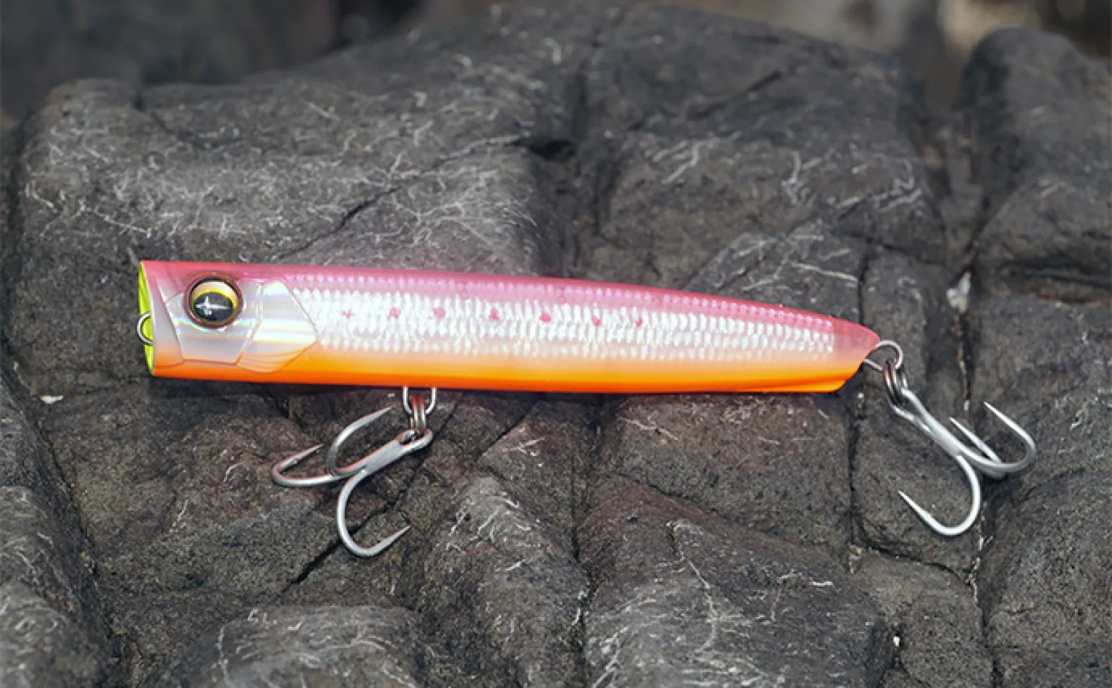 爆飛びルアーで攻略！」トップで大型魚を狙う【ロックショアゲーム最