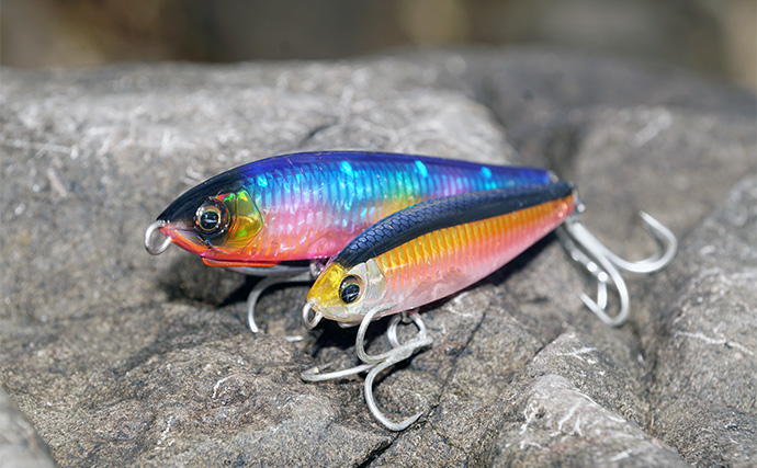 爆飛びルアーで攻略！」トップで大型魚を狙う【ロックショアゲーム最