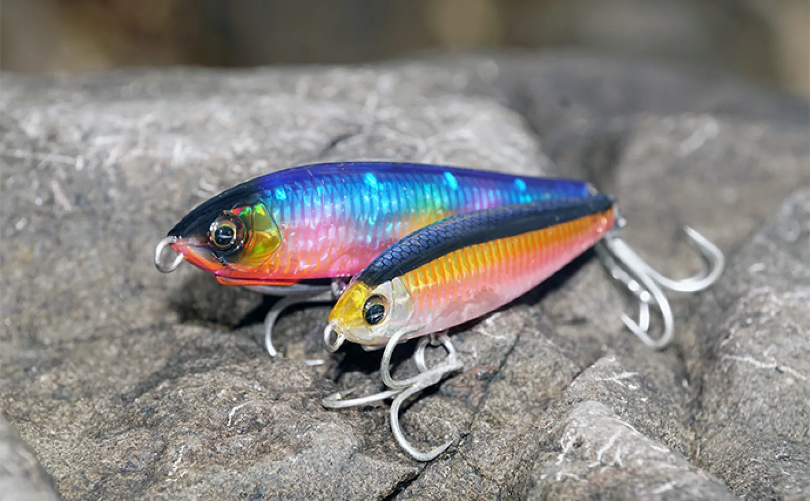 爆飛びルアーで攻略！」トップで大型魚を狙う【ロックショアゲーム最