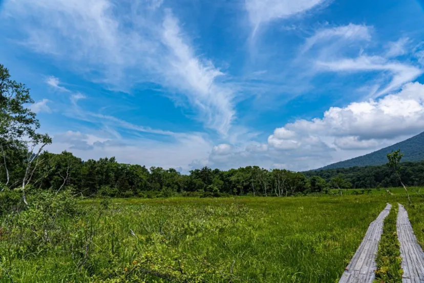 【入場無料】都会の真ん中で中部山岳国立公園、尾瀬国立公園の魅力を伝える／体験できるイベントが開催