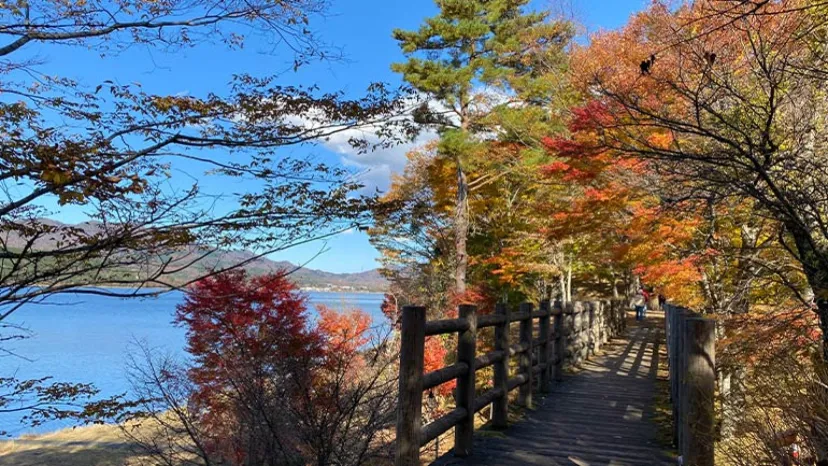 初めての車中泊は9月と10月がおすすめ!秋が車中泊に最適な理由とは?