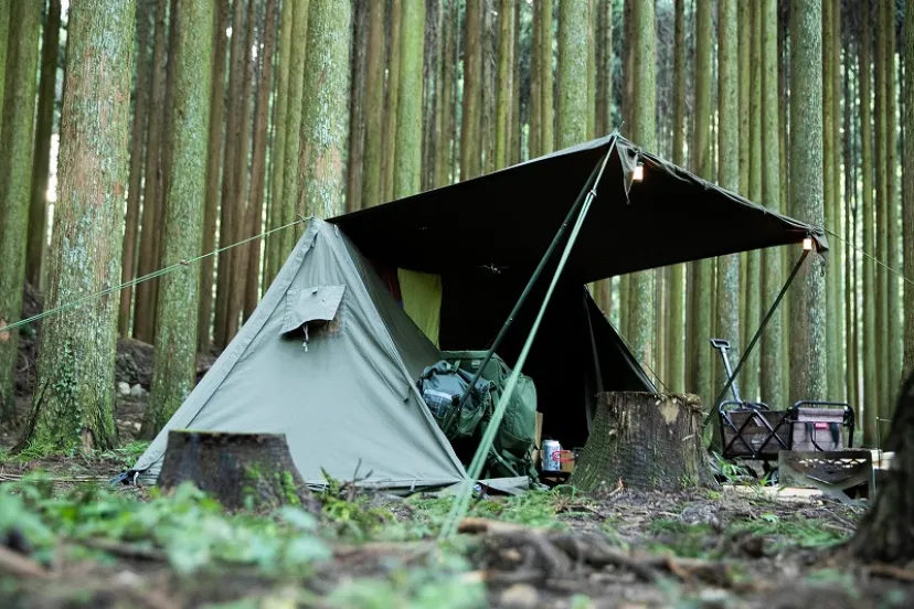 日常から解放されてのソロキャンプ。森との一体感を楽しむ