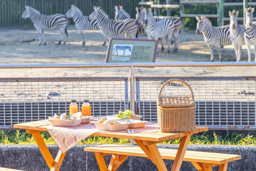渋谷から半蔵門線で行ける？！日本初の“グランピング × 動物園 × 遊園地”が融合したラグジュアリー宿泊施設をチェック