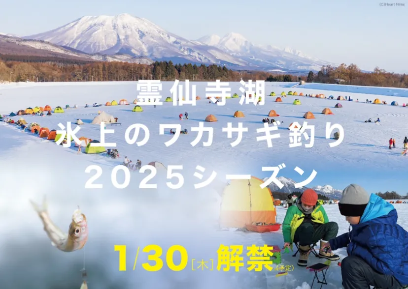 2025年1/30（木）２年ぶりに開催！長野県飯綱町 冬の風物詩「霊仙寺湖 氷上のワカサギ釣り2025」