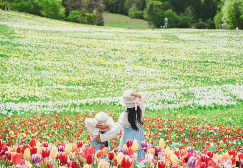 100万株のスイセンが咲き誇る「ノルンみなかみフラワーガーデン」が開園。愛犬との空中散歩や宝石探しが楽しめる「山遊び」の新定番