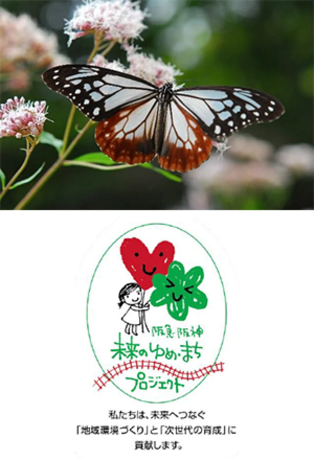 兵庫・六甲高山植物園 × 伊丹市昆虫館 夏イベント 「しょくぶつ と むし」 開催中