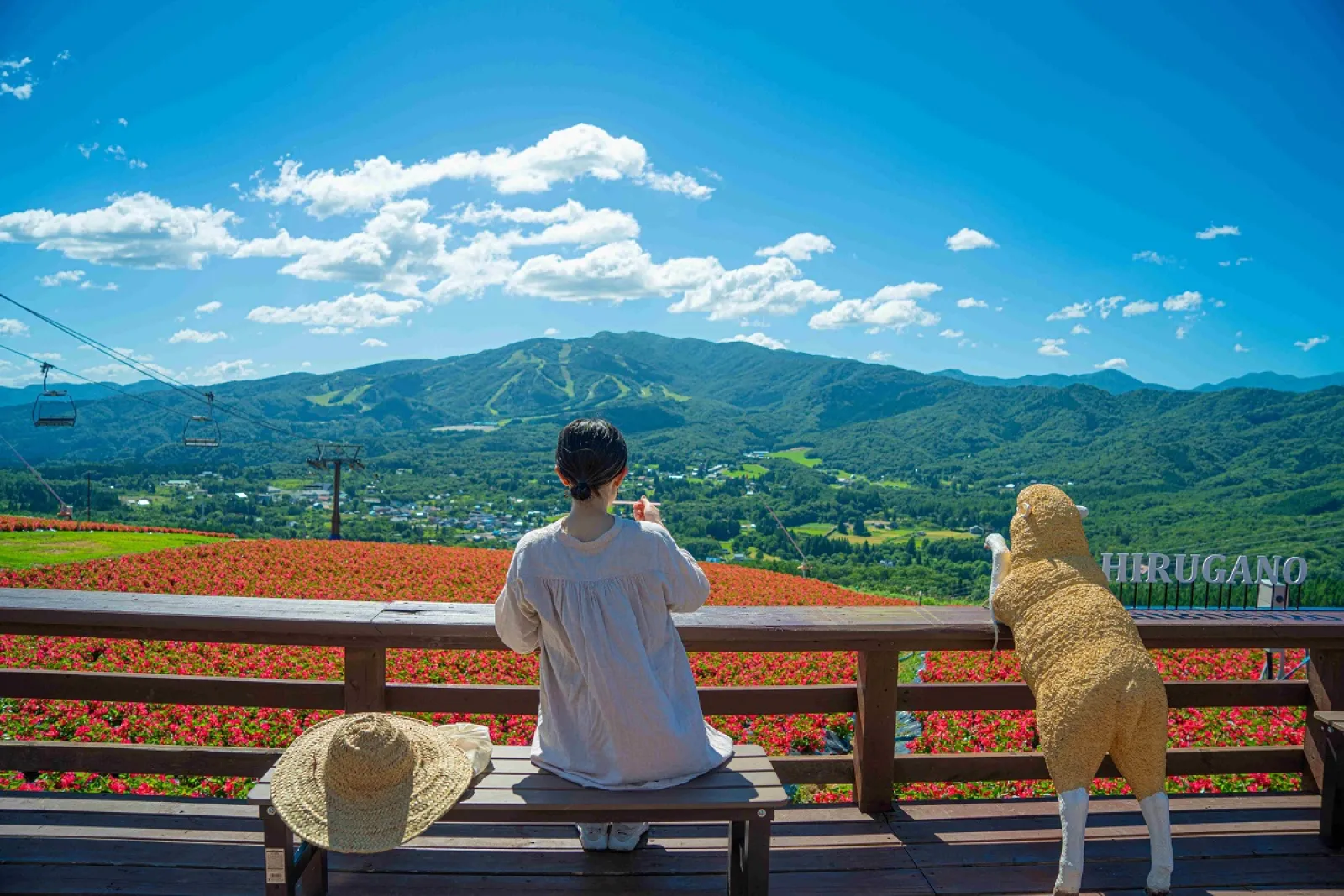 1万5千株のベゴニアが見頃!岐阜県郡上市の高原リゾート「ひるがのピクニックガーデン」
