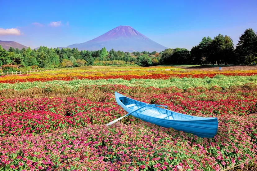 山梨県・富士本栖湖リゾート「虹の花まつり2025」8/30(土)よりスタート
