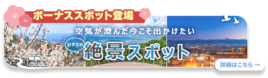 ボーナススポット登場！