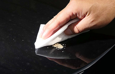 虫取り専用のウェットクロスも有り